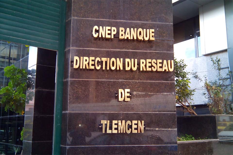 Lai 8
